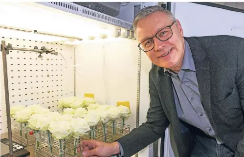  ??  ?? Duftendes Forschungs­objekt: ein Schrank voller Rosen. Biochemike­r Georg Groth hat eine Methode entwickelt, damit Schnittblu­men länger halten.