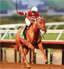  ?? Picture: Sporting Life. ?? PEGASUS: The USA’s top horse Gun Runner, who is now bound for the stallion barn at Three Chimneys Farm, looks hard to beat in his swan song, the Pegasus World Cup at Gulfstream Park on Saturday.