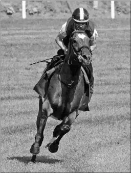  ?? BARBARA D. LIVINGSTON ?? Heart to Heart, a two-time Grade 1 winner, will be racing at Tampa Bay Downs for the first time in the Tampa Bay Stakes.