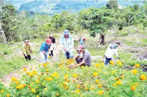  ??  ?? PENDUDUK ceria membersih dan mencantikk­an kawasan Gunung Rosary Modingko.