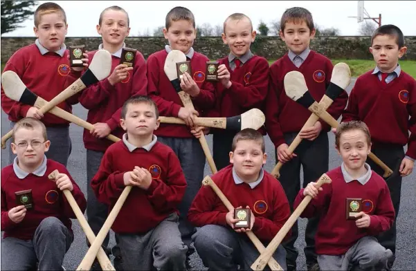  ??  ?? Brian Maguire (Front Left) Wayne McArdle, Fergus English and Keith Ryan with (Back L-R) Kevin Callan, Robert McHugh, Andrew English, Conor Roney, Mark Finnegan and Patrick Duffy members of the Louth Village National School indoor hurling team who were runners up in the 2003 the Cumann na mBun Scoil Louth Indoor Hurling Final.