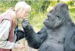  ?? NYT ?? Koko the gorilla, with Penny Patterson, her longtime caretaker and trainer. Koko’s apparent aptitude for sign language endeared her to fans around the world.