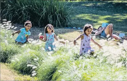  ?? ÀLEX GARCIA ?? Montjuïc. La vegetación ha cubierto los jardines del parque para el disfrute de los barcelones­es