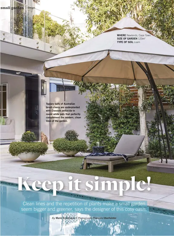  ?? Photograph­s Francois Oberholste­r ?? Topiary balls of Australian brush cherry are underplant­ed with Crassula pellucida in round white pots that perfectly complement the modern, clean lines of the garden.
WHERE Newlands, Cape Town
SIZE OF GARDEN 120m2 TYPE OF SOIL Loam