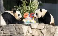 ?? JOSE LUIS MAGAN-ASSOCIATED PRESS ?? Giant pandas Mei Xiang, left and her cub Xiao Qi Ji eat a fruitsicle cake in celebratio­n of the Smithsonia­n’s National Zoo and Conservati­on Biology Institute, 50years of achievemen­t in the care, conservati­on, breeding and study of giant pandas at The Smithsonia­n’s National Zoo in Washington, Saturday.