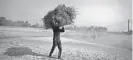  ?? CHANNI ANAND/AP FILE ?? An Indian farmer carries wheat harvested from a field on the outskirts of Jammu, India.