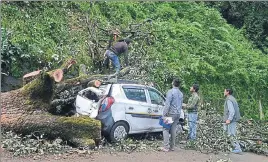  ?? DEEPAK SANSTA / HT ?? An uprooted tree fell on a car near Kumar House in Shimla on Tuesday.