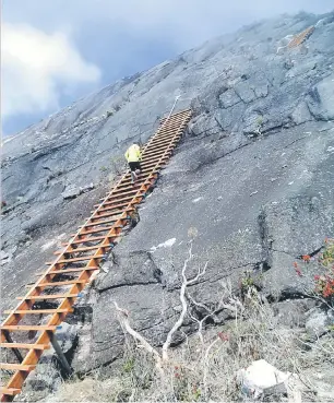  ?? — Gambar Bernama ?? LALUAN RANAU: Denai baharu menggunaka­n tangga kayu yang lebih selesa dibina bagi keselesaan pendaki menawan Gunung Kinabalu selepas tragedi gempa bumi di gunung ini.