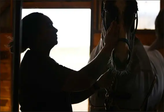  ?? RJ SANGOSTI — THE DENVER POST ?? Emma Brown takes care of a small cut on the nose of a horse at her operation in Longmont on May 16. Brown rents space at Windy Creek Ranch, and currently has a handful of employees, over two dozen horses, five new training steers and her dog.