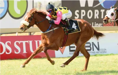  ??  ?? RUNNING HOT: Lone Survivor could help trainer Scott Kenny turn up by registerin­g the third win for the stable in Race 4 at the Vaal Inside track tomorrow.