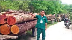  ?? SUPPLIED ?? Conservati­onist Chea Hean poses for a photograph during an inspection for illegal timber last month in Kampong Speu.