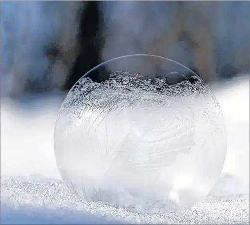  ?? SUBMITTED IMAGE ?? Are your children interested in ice? Are they budding young scientists? Then check out Young Scientist: Ice today at the Manuels River Hibernia Interpreta­tion Centre.