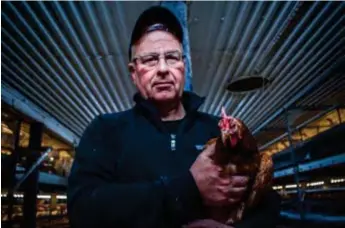  ?? ARKIVFOTO: LOUISE KRISTOFFER­SSON ?? ”Får man in fågelinflu­ensa blir det total utslaktnin­g här”, säger Fredrik Andersson på Tarby gård.