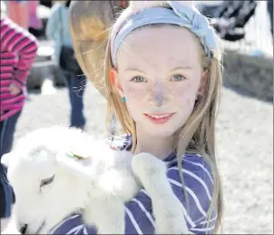  ??  ?? Amelia Bolger with her uncle's lamb at Camp Creative in Enniskerry.