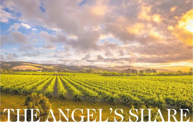  ?? Photo / Getty Images (main) ?? The sun rises over stripes of vines; a stopover at a wine haven on Maui’s winery campervan tour.