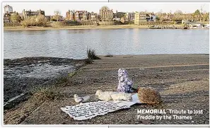  ??  ?? MEMORIAL Tribute to lost Freddie by the Thames