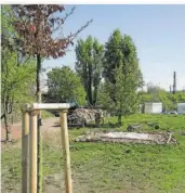  ?? FOTO: WERNER MICHALTZIK ?? Am Alten Brühl legt die „Aktive Gruppe Lebenswert­es Völklingen“einen kleinen Park am Stadtrand an. Dafür sucht sie weitere Helfer.