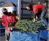  ?? HYOSUB SHIN / HYOSUB. SHIN@ AJC. COM ?? Wyatt Carpenter ( left) and Evan Drenner of Tradition Trees trim a tree Wednesday to deliver to a home in The Country Club of the South in Johns Creek.