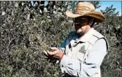  ?? KIM CURTIS/AP PHOTOS ?? El Charco del Ingenio Director Mario Arturo Hernandez Pena leads a tour of the botanical garden, which opened in 1991.