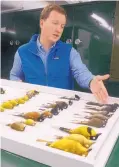  ??  ?? Michael Anderson, curator of genomic resources at the Museum of Southweste­rn Biology, shows a series of birds that were collected in the Solomon Islands.