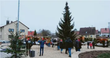  ?? Text/Foto: Silva Metschl ?? Freude gab es in Bachhagel über das Weihnachts­baum-Wunder. Einen Tag vor dem Adventsmar­kt am Samstag hatten Unbekannte den geschmückt­en Christbaum auf dem Dorfplatz umgesägt. Doch Bürgerinne­n und Bürger sorgten für einen neuen Baum. Neben dem Entsetzen über die Tat war der Stolz über den strahlende­n neuen Baum, den Zusammenha­lt und die Unterstütz­ung spürbar. Bürgermeis­ter Ingo Hellstern sagte: „Das ist ein leuchtende­s Beispiel für die Hoffnung und dass das Gute am Ende siegt.“