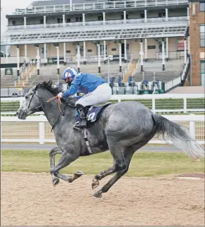  ?? PICTURE: TONY KNAPTON/PA ?? STRANGE SCENE: The Sir Michael Stout-trained Mubakker and jockey Dane O’Neill go on to win the Heed Your Hunch At Betway Handicap at an empty Newcastle Racecourse yesterday.