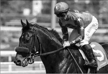  ?? BENOIT PHOTO ?? Johannes is eyeing a potential try in the Shoemaker Mile after the American Stakes.