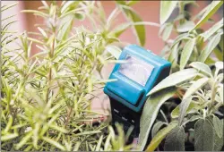  ??  ?? A moisture meter will let you know if your garden needs more water.