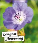  ??  ?? Longest flowering