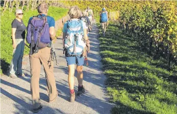  ?? FOTO: HKE ?? Die Vorsitzend­e Inge Polap (links mit Sonnenbril­le) wandert mit Interessie­rten im Herbst 2017 in Graubünden in der Schweiz im Rheintal.