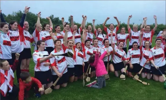  ??  ?? The Banteer camogie team celebreate after claiming the county junior ‘A’ league title with a win over Na Piarsaigh