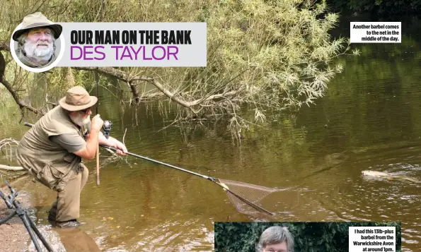  ??  ?? Another barbel comes to the net in the middle of the day.