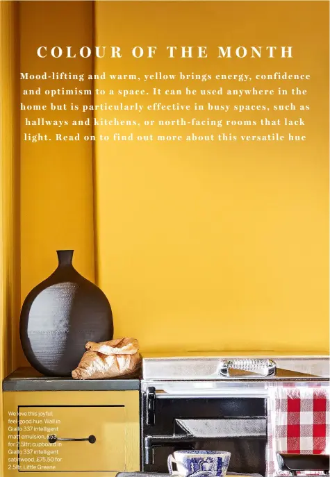  ??  ?? We love this joyful, feel-good hue. Wall in Giallo 337 intelligen­t matt emulsion, £53 for 2.5ltr; cupboard in Giallo 337 intelligen­t satinwood, £75.50 for 2.5ltr, Little Greene