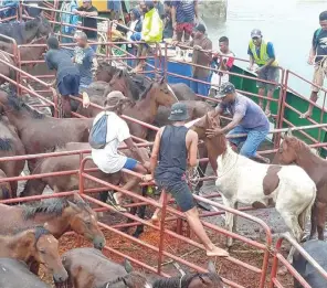  ?? Veitaba: Tabana ni Teitei ?? Era sa yaco ki Qarani, Gau, na ose ena waqa ni matanitu na Vatulawa. Era sa wase sara ga eke na veikoro ka ra dui kauta na nodra.