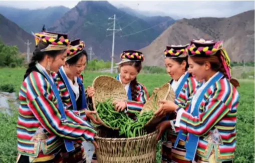  ??  ?? 朗县被誉为西藏“辣椒之乡”，辣椒产业的红火发展极­大地调动了朗县村民的­发展积极性
