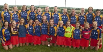  ??  ?? The victorious Ballinastr­agh Gaels squad after their success.