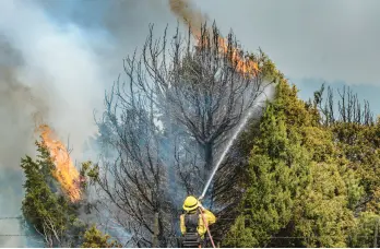  ?? EDDIE MOORE/THE ALBUQUERQU­E JOURNAL ?? A firefighte­r sprays water on burning trees Thursday near Las Vegas, N.M. Windy conditions are expected in the region over the next few days.