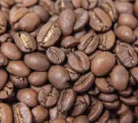  ??  ?? La couleur des grains de café après torréfacti­on est un moyen de contrôle. Elle est vérifiée avec un colorimètr­e. Les grains ne doivent pas être brûlés.