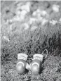  ?? MARK HUMPHREY/ASSOCIATED PRESS ?? Yusuf Anac, a fan of Ali, left miniature boxing gloves at the gravesite.