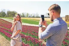  ?? FOTO: STANIEK ?? Tulpenfeld­er sind immer wieder ein Motiv für ein Fotoshooti­ng an. Das Ehepaar Georg und Anastasia Funk ist extra aus Düsseldorf angereist.