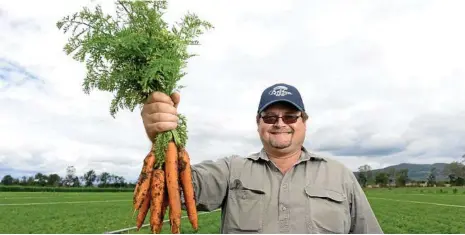  ?? PHOTO: ROB WILLIAMS ?? HEALTHY VEGETABLE: Robert Hinrichsen is excited to give away free carrots at Kalfresh Vegetables at Kalbar next weekend.