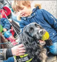  ??  ?? Left: Meeting one of the dogs at the Kent Trading Standards illegal tobacco roadshow