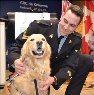  ?? ANDREA PEACOCK/The Okanagan Weekend ?? Cpl. Jesse O’Donaghey pets therapy dog Dash at the Kelowna RCMP detachment.
