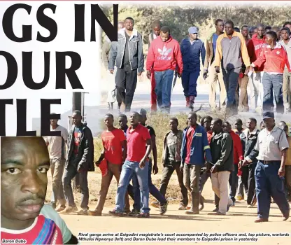  ??  ?? Baron Dube Rival gangs arrive at Esigodini magistrate’s court accompanie­d by police offificers and, top picture, warlords Mthulisi Ngwenya (left) and Baron Dube lead their members to Esigodini prison in yesterday