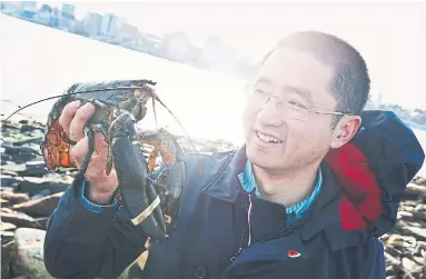  ?? ZANE WOODFORD STAR HALIFAX ?? Zhuliang Tan is a food research scientist working on an alternativ­e lobster bait using discarded fishery byproducts. He’s encouragin­g lobster fishermen from across Nova Scotia to sit down for coffee with a scientist so he can learn from them.