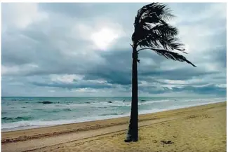  ?? SOUTH FLORIDASUN SENTINEL ?? Windy conditions will be the norm for South Florida for the next few days, including New Year’s Eve and New Year’s Day.