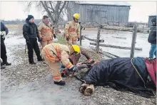  ?? BELINDA TAGGART PHOTO ?? Kawartha Lakes firefighte­rs helped elderly horse Clyde after he went down on the ice Friday. Hours later the horse was later able to get up.