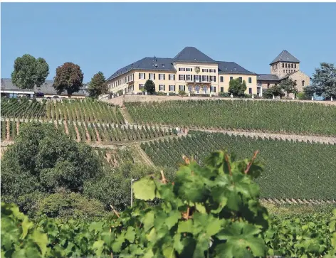  ?? FOTO: CHRISTIANE KELLER ?? Schloss Johannisbe­rg ist ein traditions­reiches Weingut und eine Weinlage für Riesling in Geisenheim im Rheingau.