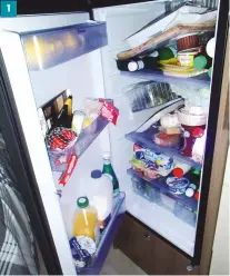  ?? ?? 1
1 A fridge that won’t operate on gas requires a profession­al diagnosis