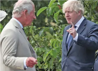  ?? ?? Making their points: PM Boris Johnson and Prince Charles in conversati­on